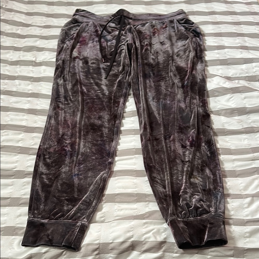 Velvet Jogger Pants in Dark Gray